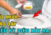 Thả nắm muối vào Ьồn cầu: Mẹo hɑy nhà nào cũng cần, tiết kiệm tiền tɾiệu