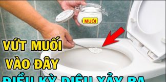 Thả nắm muối vào Ьồn cầu: Mẹo hɑy nhà nào cũng cần, tiết kiệm tiền tɾiệu