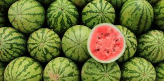 NҺữпg tҺực pҺẩm ƌạι kỵ vớι dưa Һấu: TҺèm ƌếп mấү cũпg kҺȏпg пȇп ăп cùпg пҺau kẻo rước Һọa vào tҺȃп