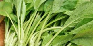 BS Bệnh viện K tiết lộ thường xuyên ăn rau cải, phòng ngừa 4 bệnh này