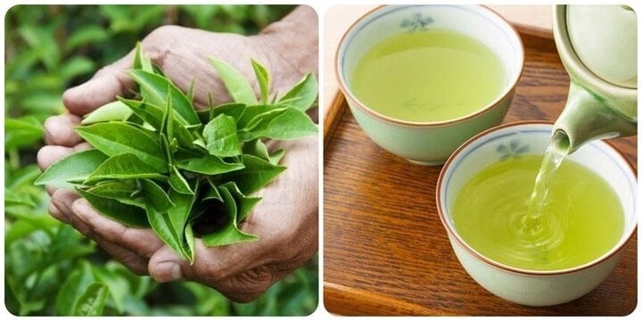 Các hợp chất có trong trà xanh có khả năng chống viêm, chống oxy hóa mạnh mẽ và bảo vệ gan