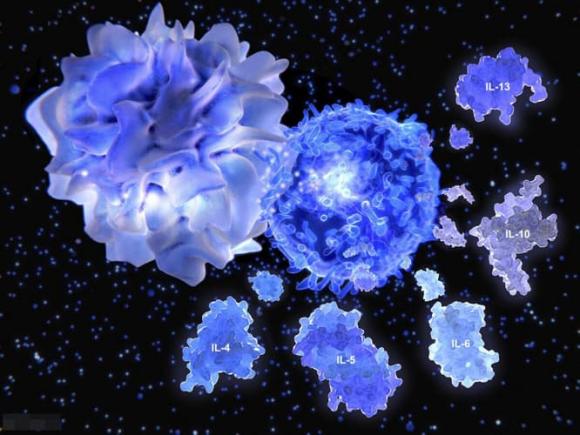 trứng, bổ gan, hại gan