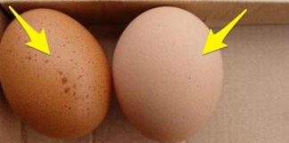 5 loại trứng ‘ph:á h:ủy’ n:ội t:ạng, số 1 nhiều người còn lùng mua ăn vì thèm