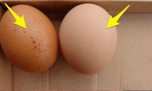 trứng, loại trứng không nên ăn, sức khỏe 