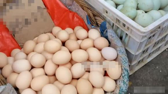 trứng, trứng gà, trứng ngon