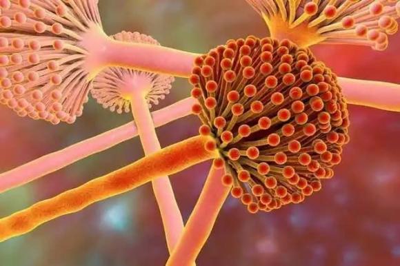 ung-thu-gan (1).jpg 1