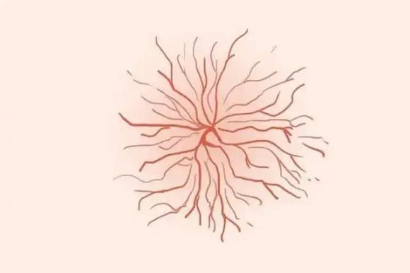 ung-thu-gan (1).jpg 8