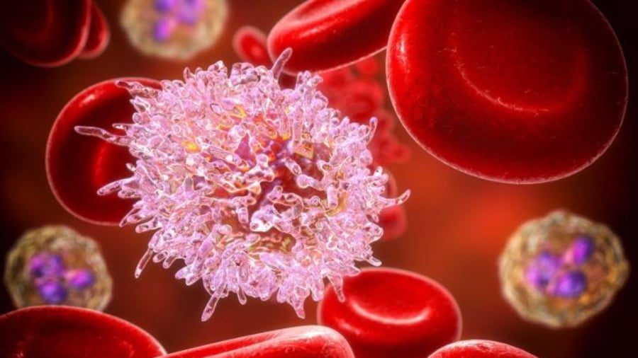 Kết quả nghiên cứu của các nhà khoa học mở ra hy vọng mới