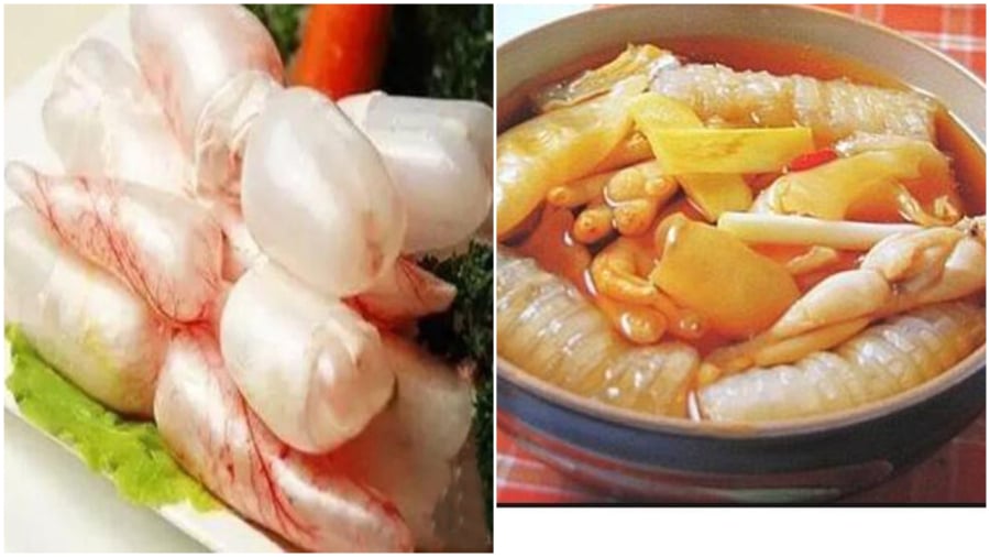 3 bo phan cua ca