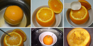 7 loại trái cây chỉ cần hấp chín sẽ trở thành thuốc bổ, chữa đủ loại bệnh