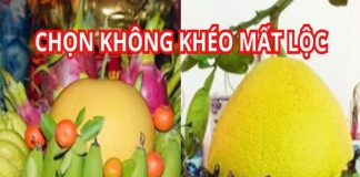Thắp hương Tết âm lịch nên chọn giống bưởi gì, bưởi đỏ, vàng, xanh loại nào mới thu hút tài lộc?