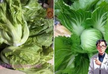 Loại rau bình dân chứa canxi nhiều gấp 8 lần cá, một lá xào được cả đĩa đầy ú ụ