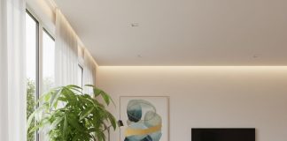 5 cây phong thủy thường xuất hiện trong nhà của các gia đình khá giả