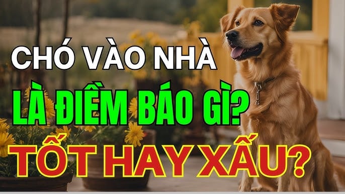cho