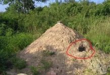 Giải mã câu tục ngữ nông thôn: Một thứ trước mộ, ba thứ sau mộ nói lên điều gì?