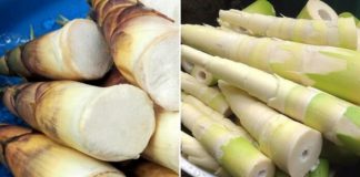 4 sai lầm lớn khi ăn măng gây ngộ độ.c