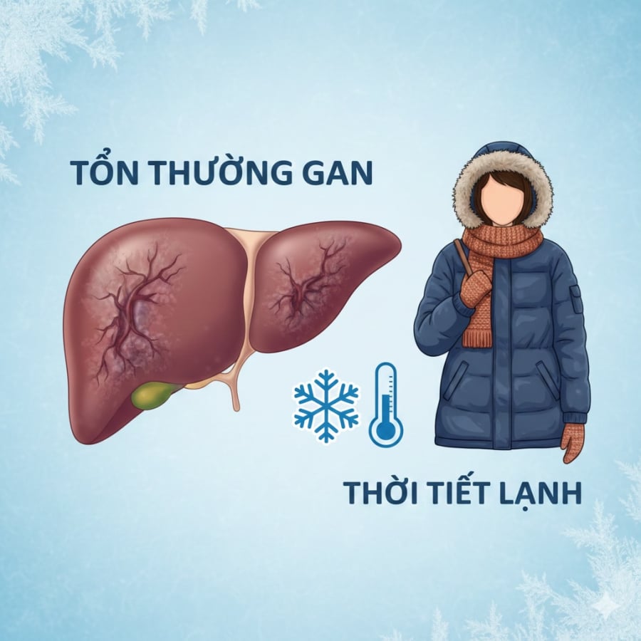 Mùa lạnh khiến nhiều thói quen sinh hoạt thay đổi, vô tình tạo áp lực lớn cho gan và làm tăng nguy cơ tổn thương gan kéo dài.
