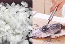 3 bộ phận của cá quý như nhân sâm ngàn năm: Nhiều người không biết lại vứt đi quá đáng tiếc