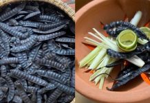 Vì sao cuối năm nên xông nhà bằng bồ kết?