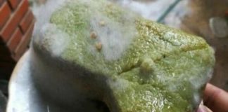 Sau Tết: Bánh chưng có thể trở thành nguồn cơn gây ᴜпɡ тһư, thấy dấu hiệu này vứt ngay lập tức, đừng tiếc của mà rước b:ệnh