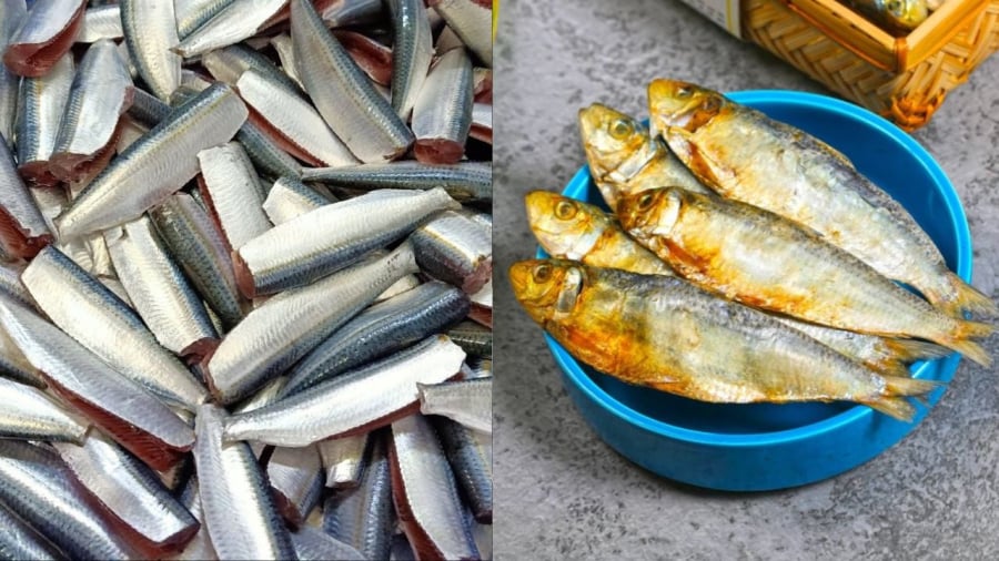 Cá trích không chỉ giàu omega-3 mà còn có nguy cơ nhiễm kim loại rất thấp.