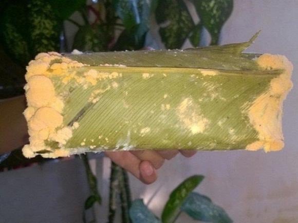 Đáng lo ngại, aflatoxin không bị phá hủy ở nhiệt độ cao.