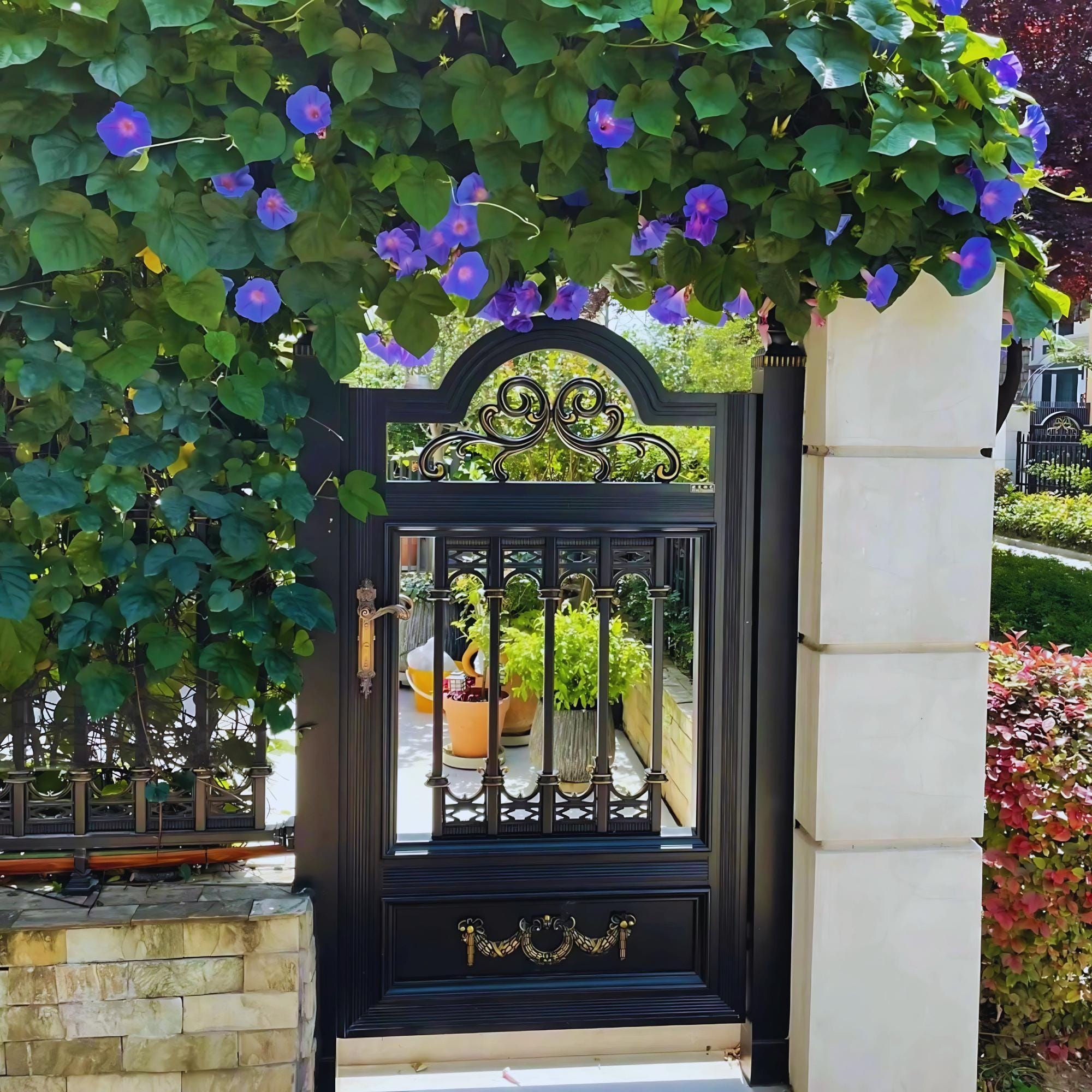 9 loại cây may mắn nên trồng trước cửa nhà- Ảnh 2.