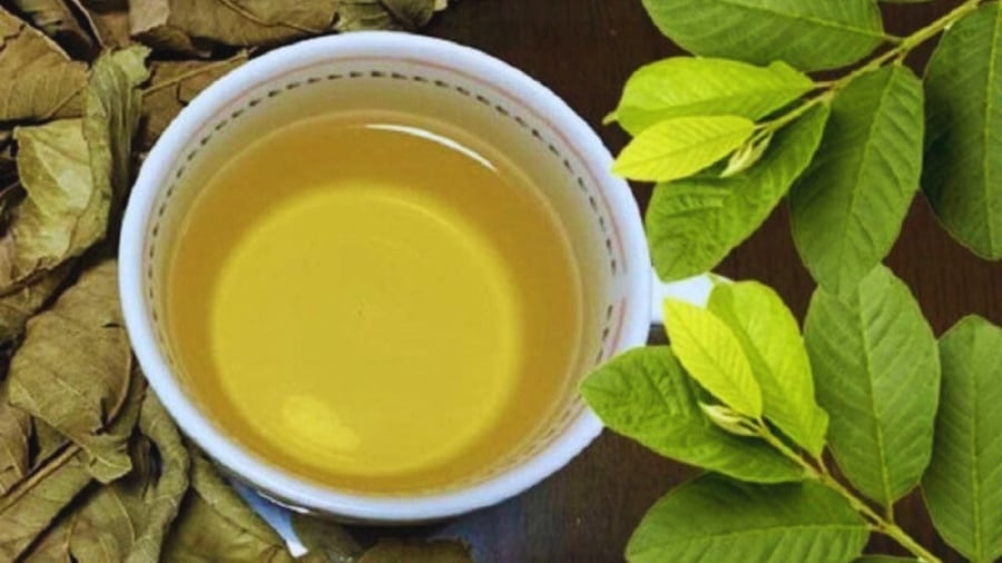 5 người nên uống nước lá ổi mỗi ngày