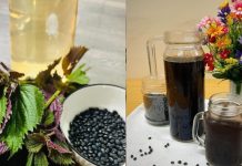 Lý do nên uống nước tía tô đậu đen