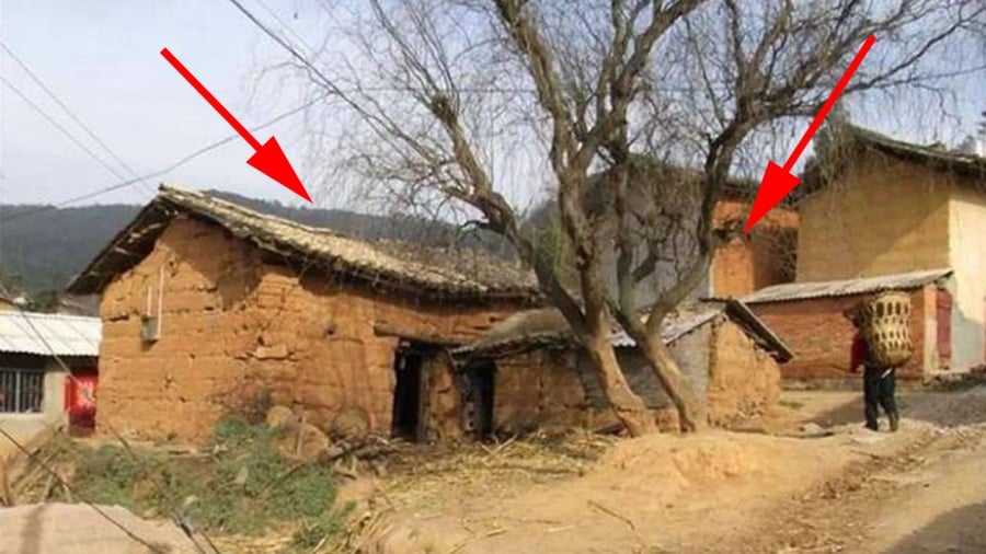 Phong thủy truyền thống cho rằng ngôi nhà giống như một cơ thể sống. Cửa chính chính là “miệng” của ngôi nhà, nơi đón nhận năng lượng từ môi trường xung quanh. 