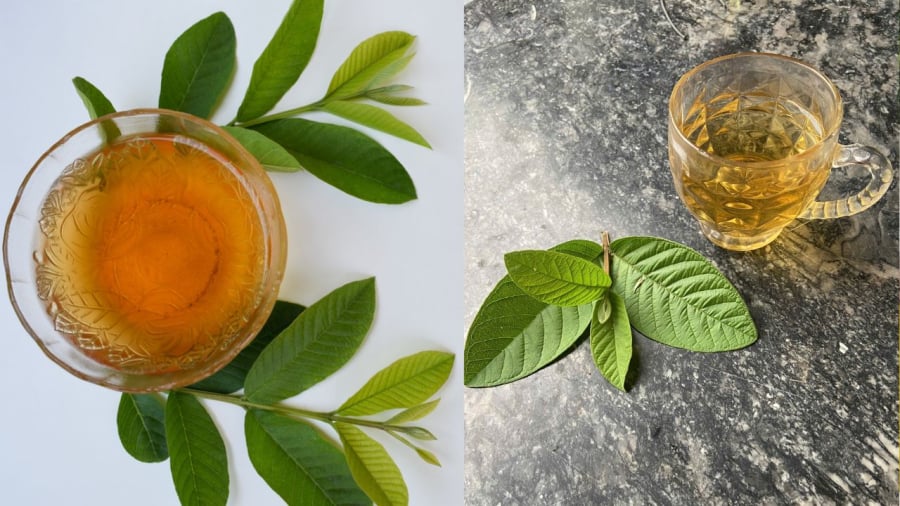 Uống nước lá ổi có tác dụng hỗ trợ giảm cân, tiêu mỡ bụng.