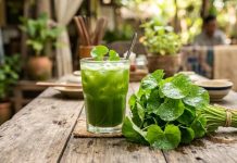 Uống nước rau má mỗi ngày: Lợi ích bất ngờ cho sức khỏe nhưng không phải ai cũng biết