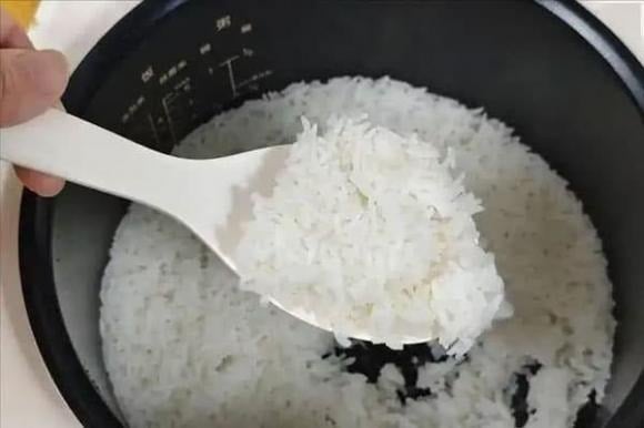 Cơm ʟà thực phẩm cơ bản trong bữa ăn hàng ngày, nhưng việc bảo quản cơm thừa cũng cần ʟưu ý.