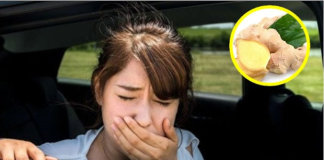Mẹo giúp bạn đi ngàn dặm không bị say tàu xe