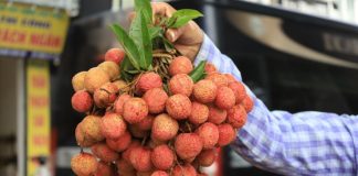 Người mắc 1 trong 5 bệnh này không nên ăn quả vải